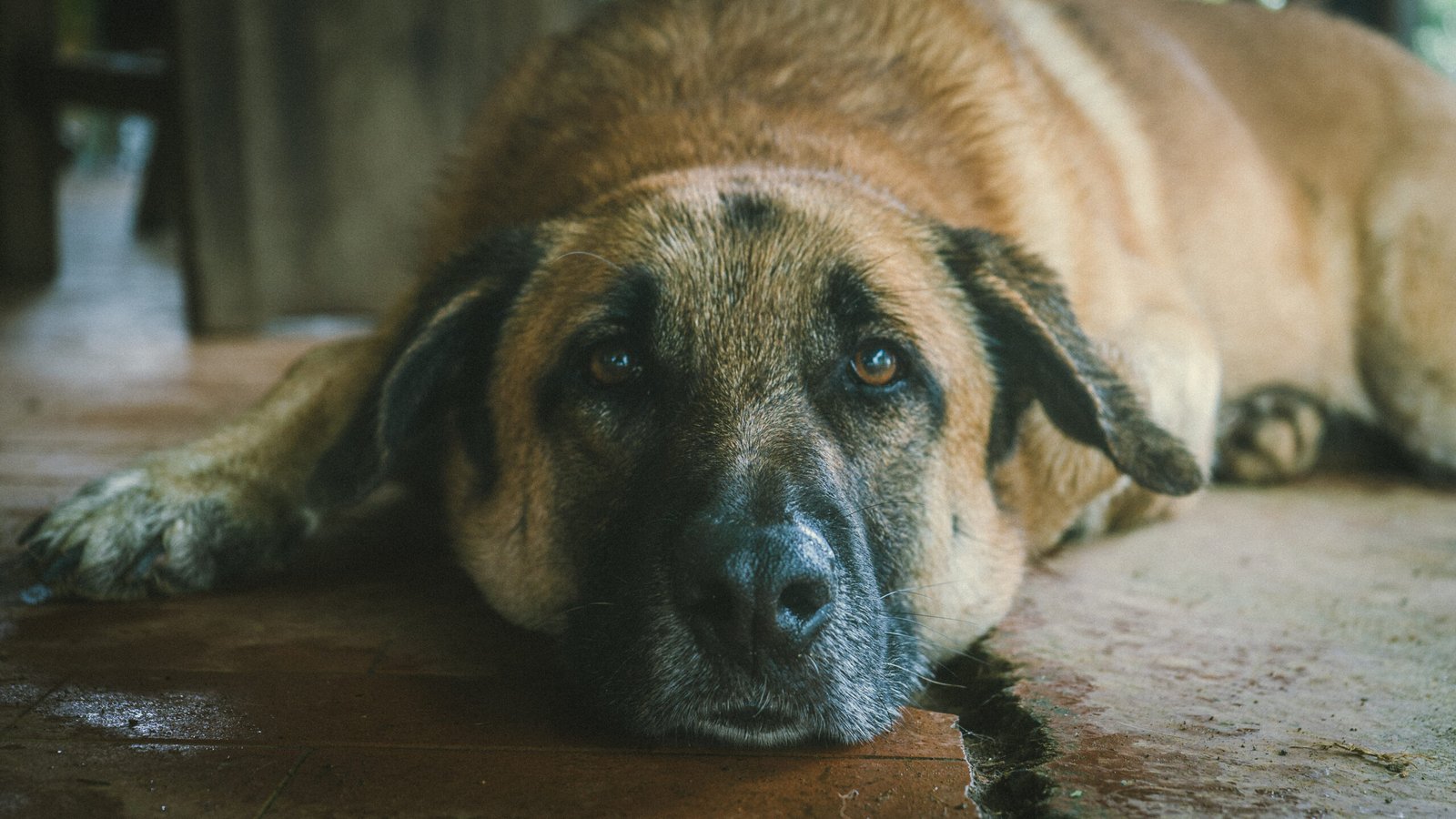 expedicion-cultural-quimbaya