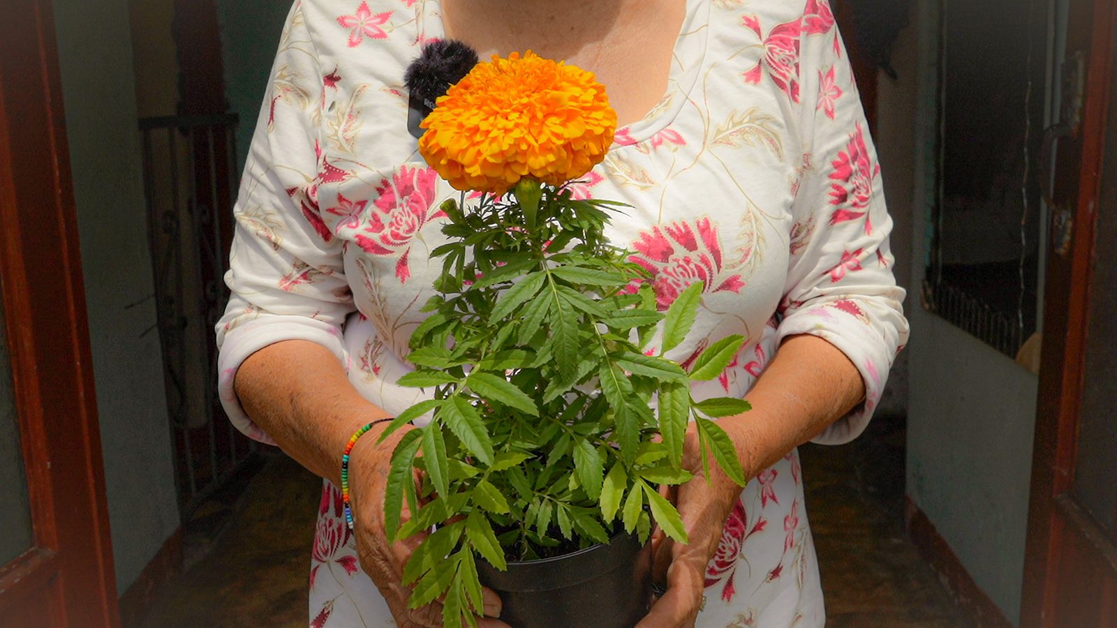 expedicion-el-paraiso-dejalo-ser