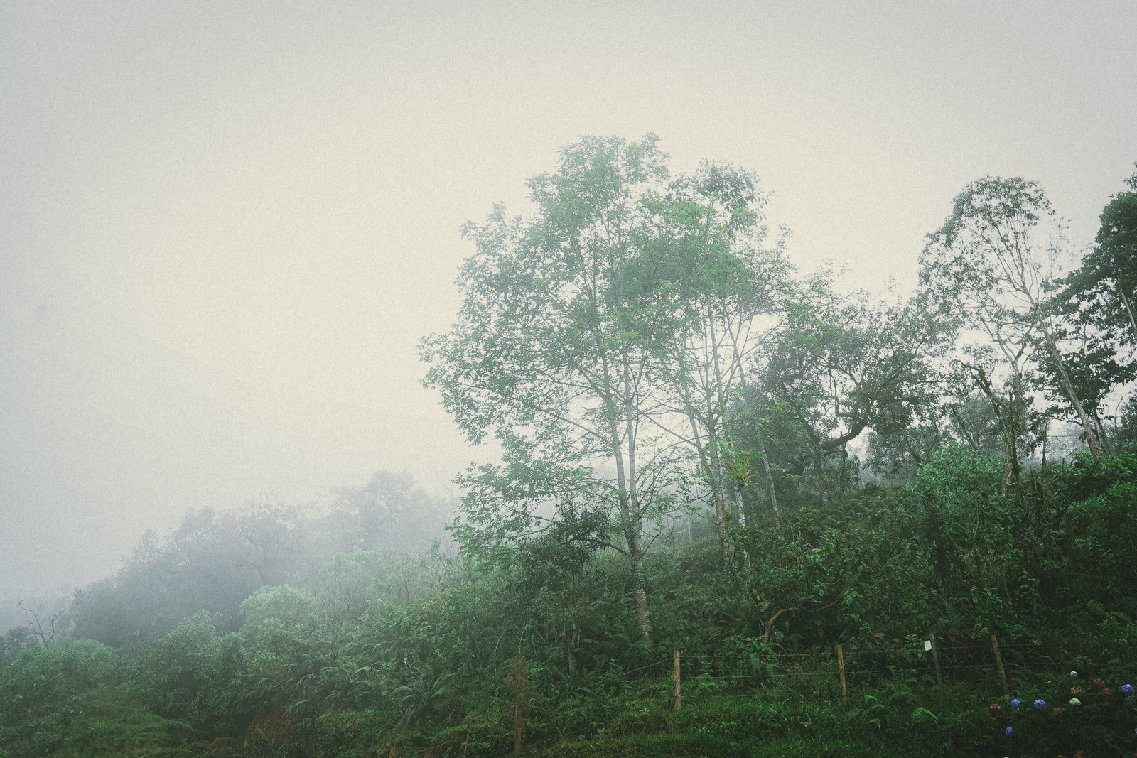 expedicion-ruta-quimbaya