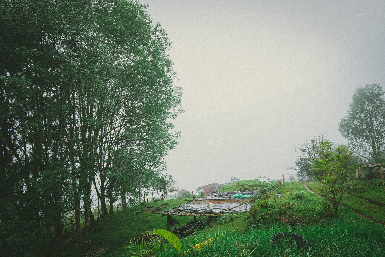 ruta-quimbaya-dejalo-ser